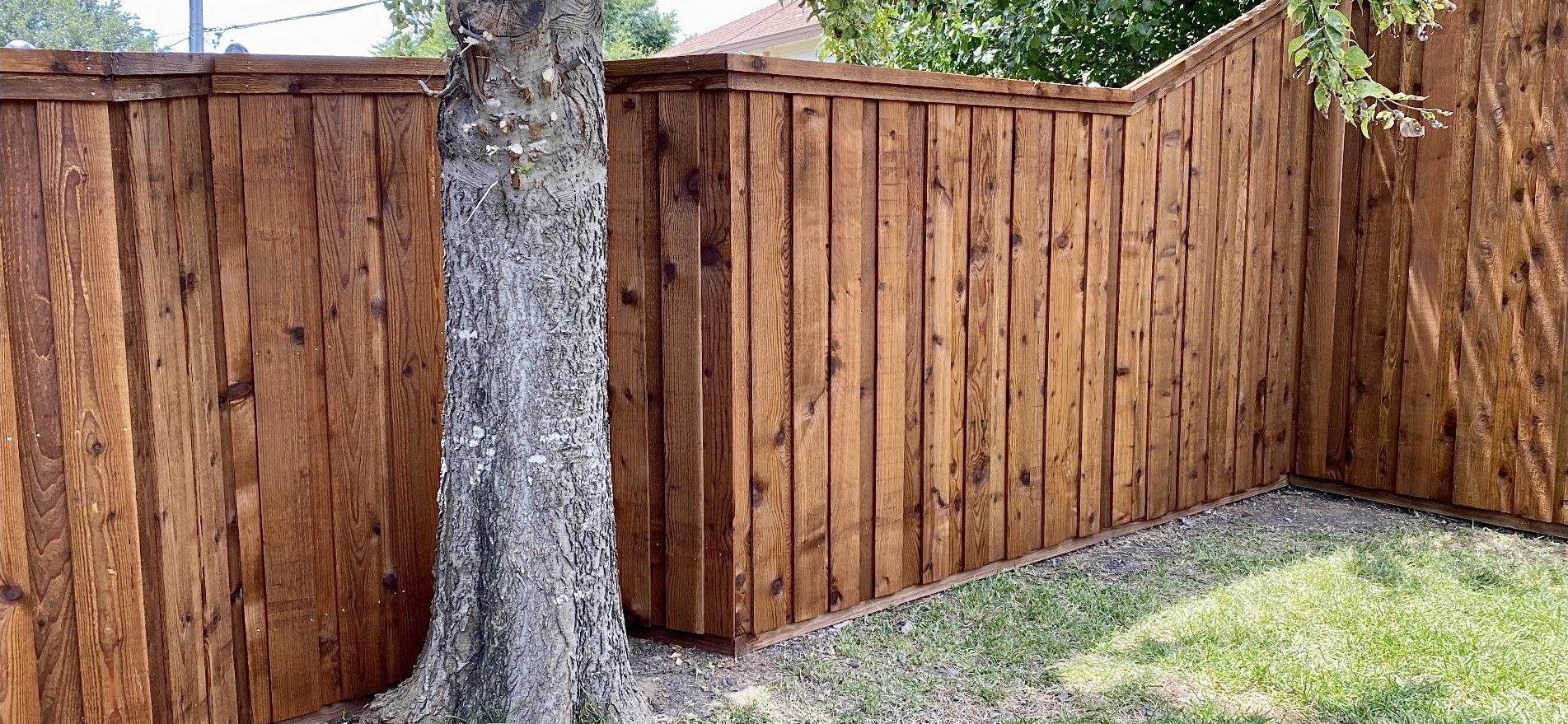 six foot tall stained cedar, board-on-board, fence that tapers up to eight feet tall fence built by fence contractor m&c fence