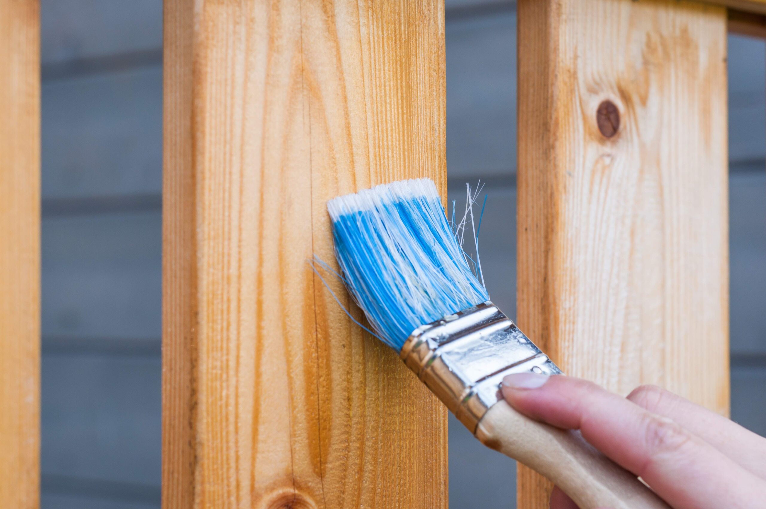 image of somone painting a DIY fence project