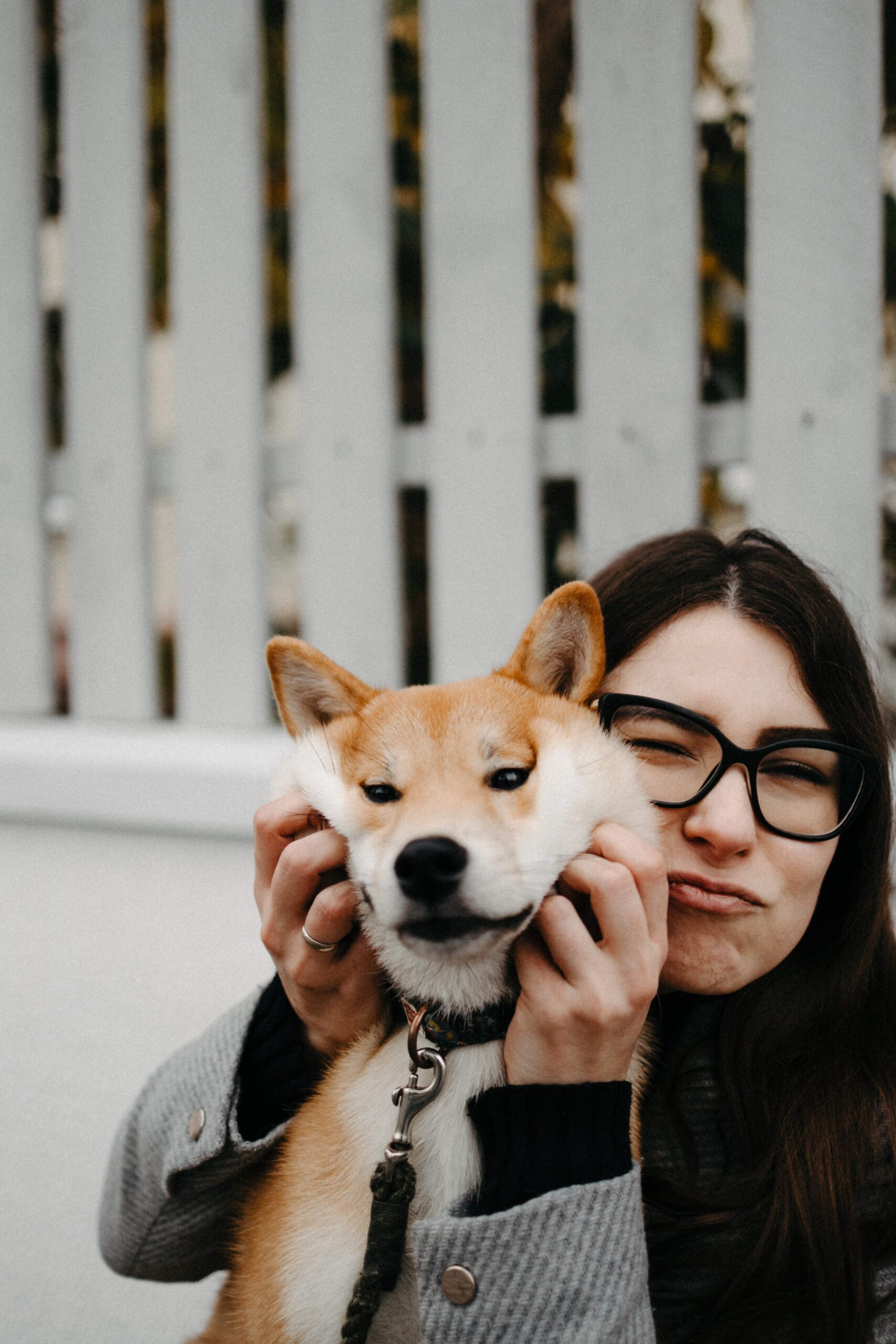 pet-friendly owner and fence