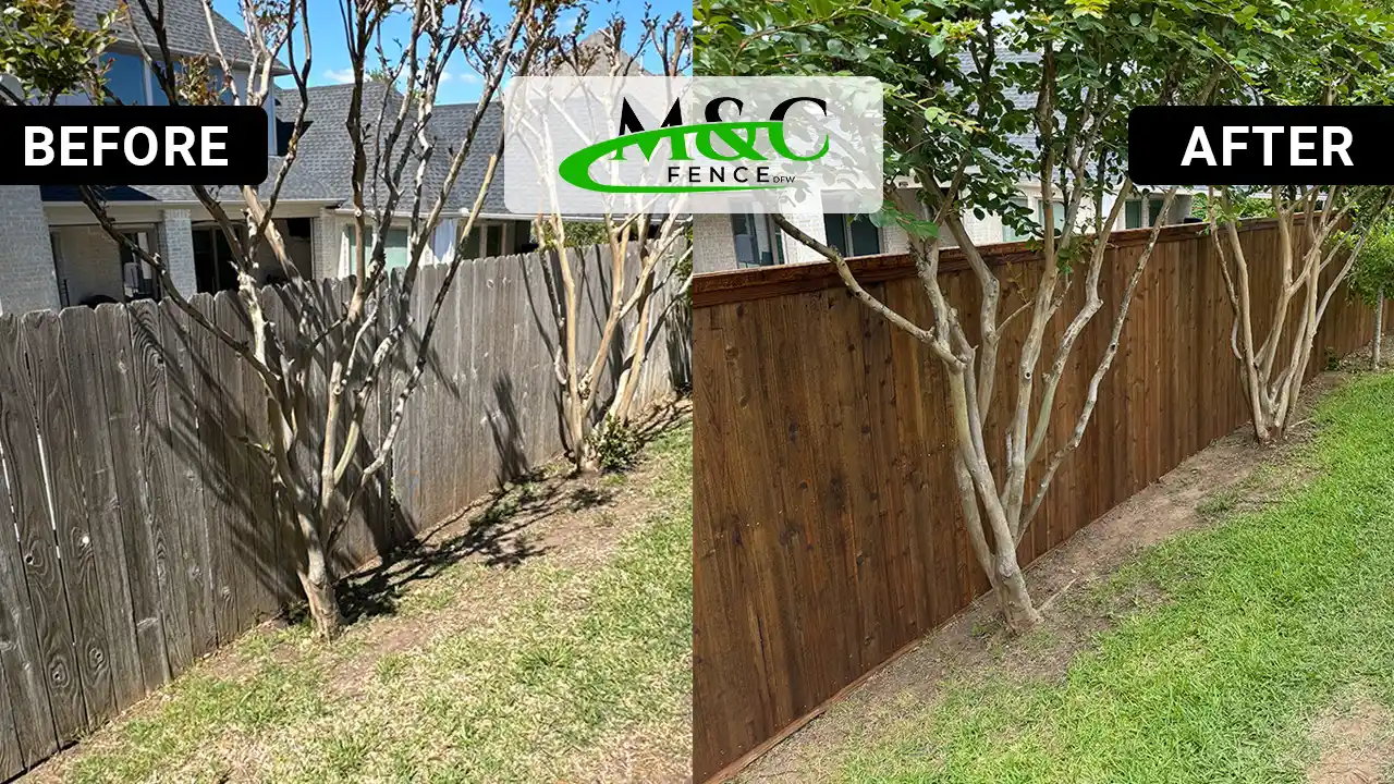 mc fence dfw before and after wood fence installation and stained