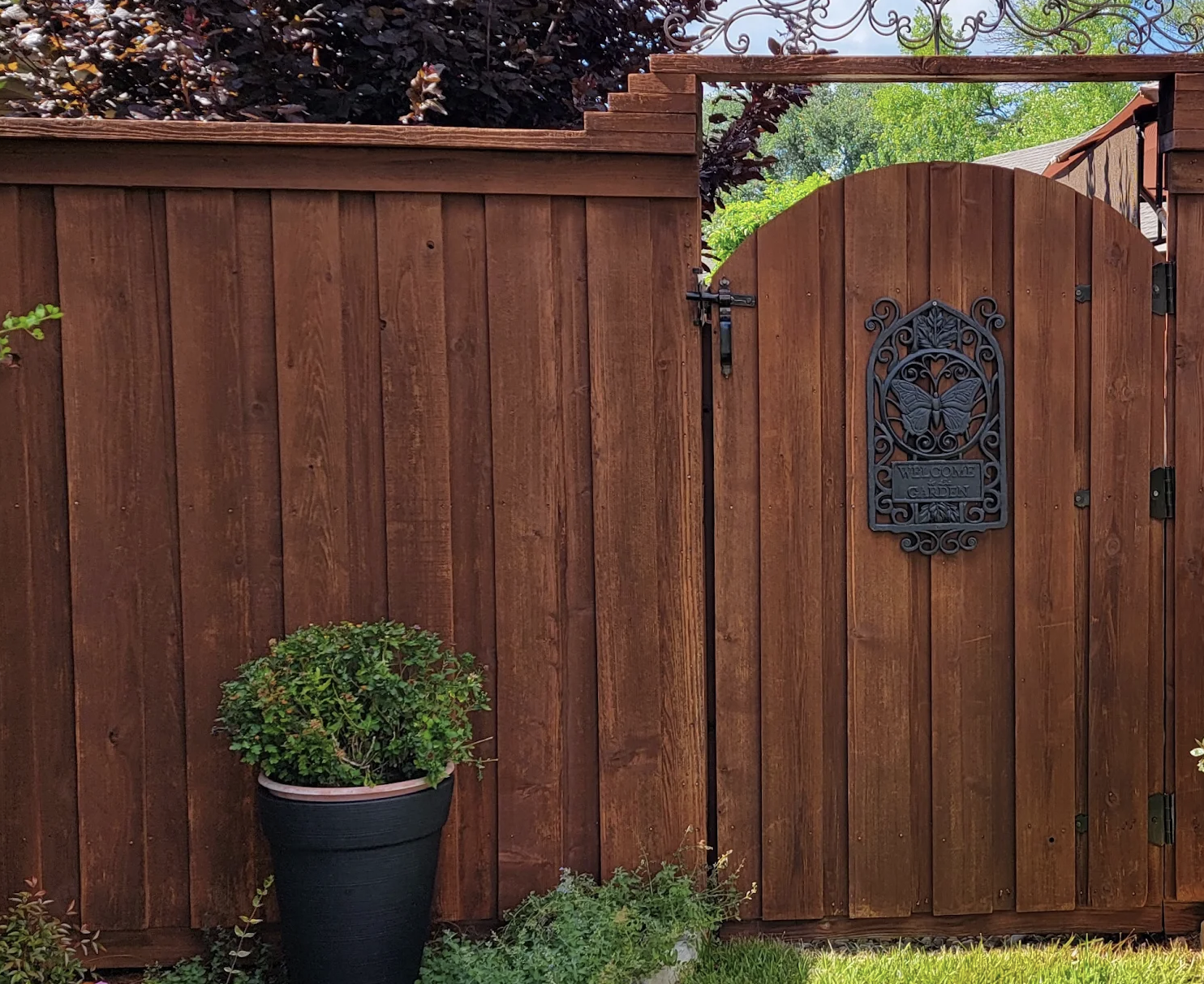A custom wood fence Dallas style features a matching arched gate with a decorative metal accent. A potted plant sits to the left, and sunlight casts a shadow on the fence. Lush greenery is visible in the foreground, enhancing the wood fence design.