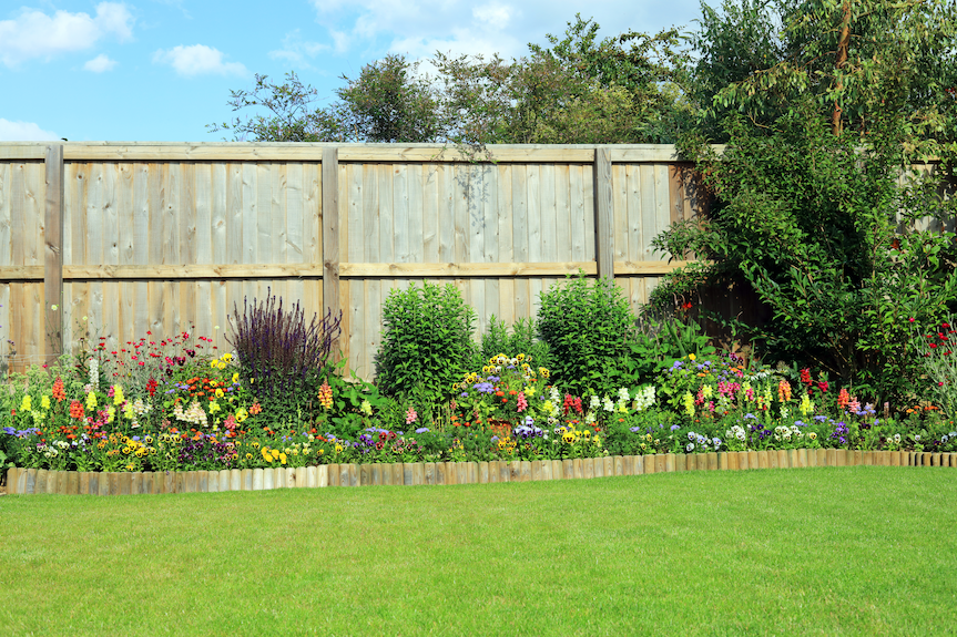 A neatly mowed lawn bordered by a colorful flower bed with various blooming plants and shrubs, showcasing thoughtful landscaping against a tall wood fence on a sunny day.