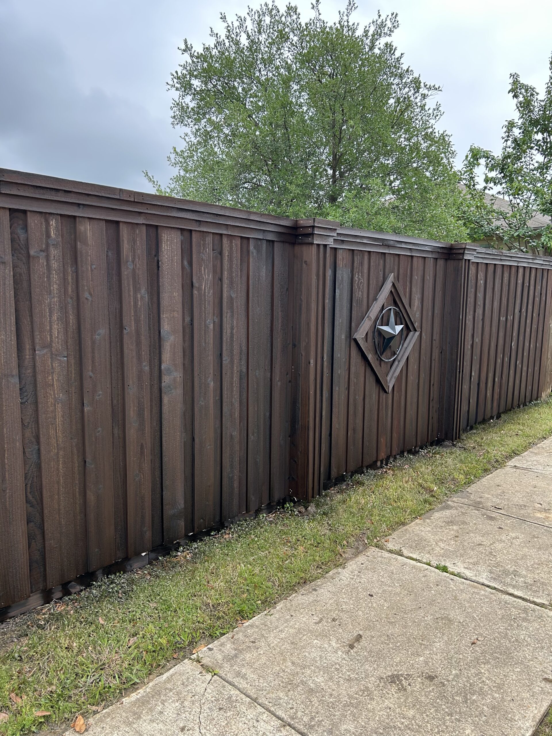 freshly stained cedar board on board custom wood fence in Cedar Hill, Texas by M&C Fence DFW