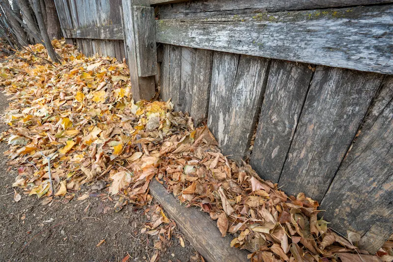 A pile of dry autumn leaves is gathered along the base of an old, weathered wooden fence. Signs of age hint at the need for Fall Fence Maintenance, as cooler weather settles in and bare soil surrounds the scene in North Texas.
