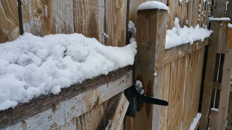 A wooden fence covered with a layer of snow, featuring a black metal latch on the gate, highlights the importance of winterizing your fence to ensure proper fence maintenance during harsh DFW winters.